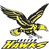 Hawks logo