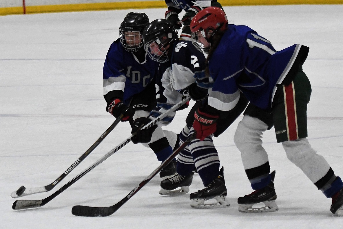 TVRA SE girls hockey final