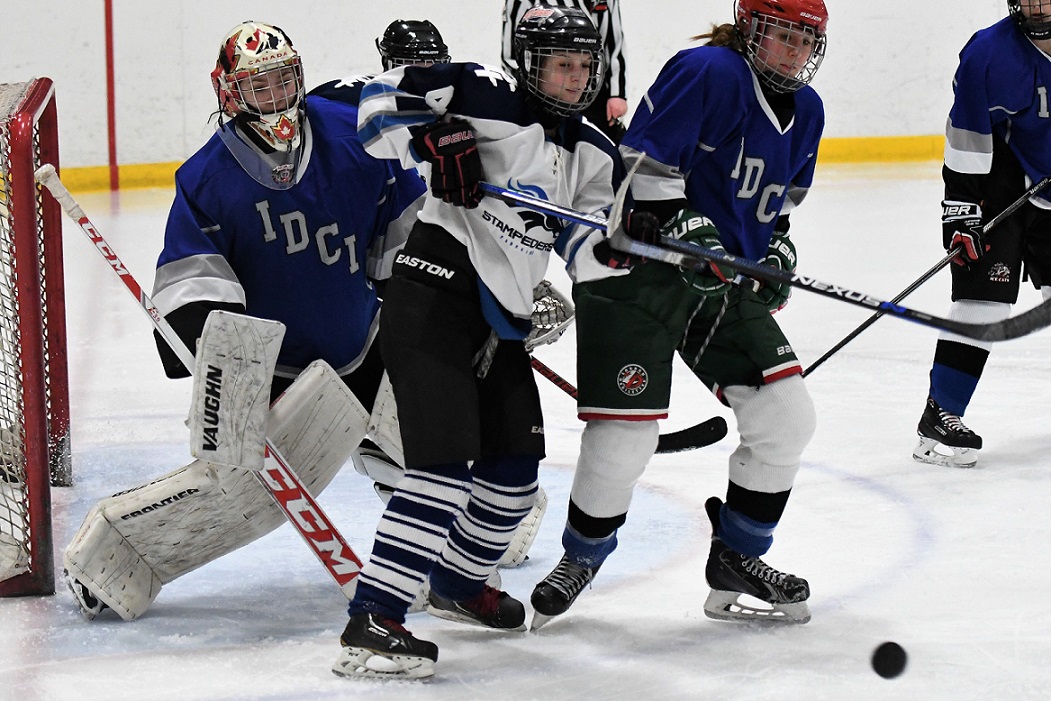 TVRA SE girls hockey final