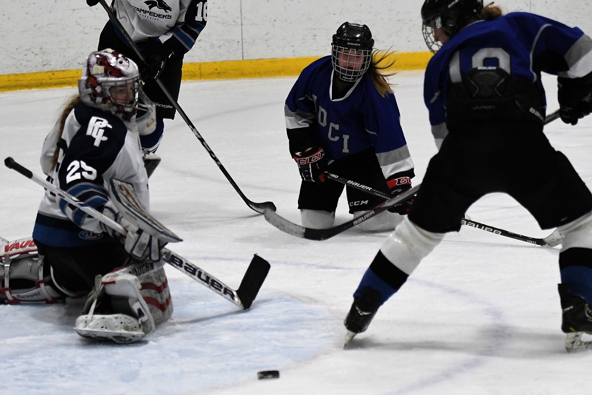 TVRA SE girls hockey final