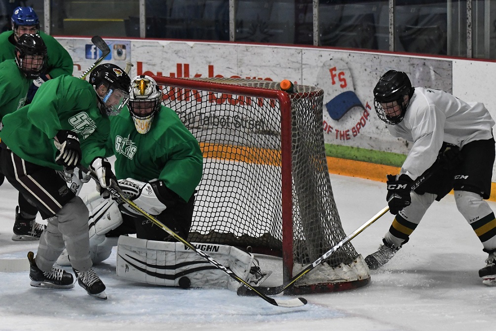 Stars prospects camp