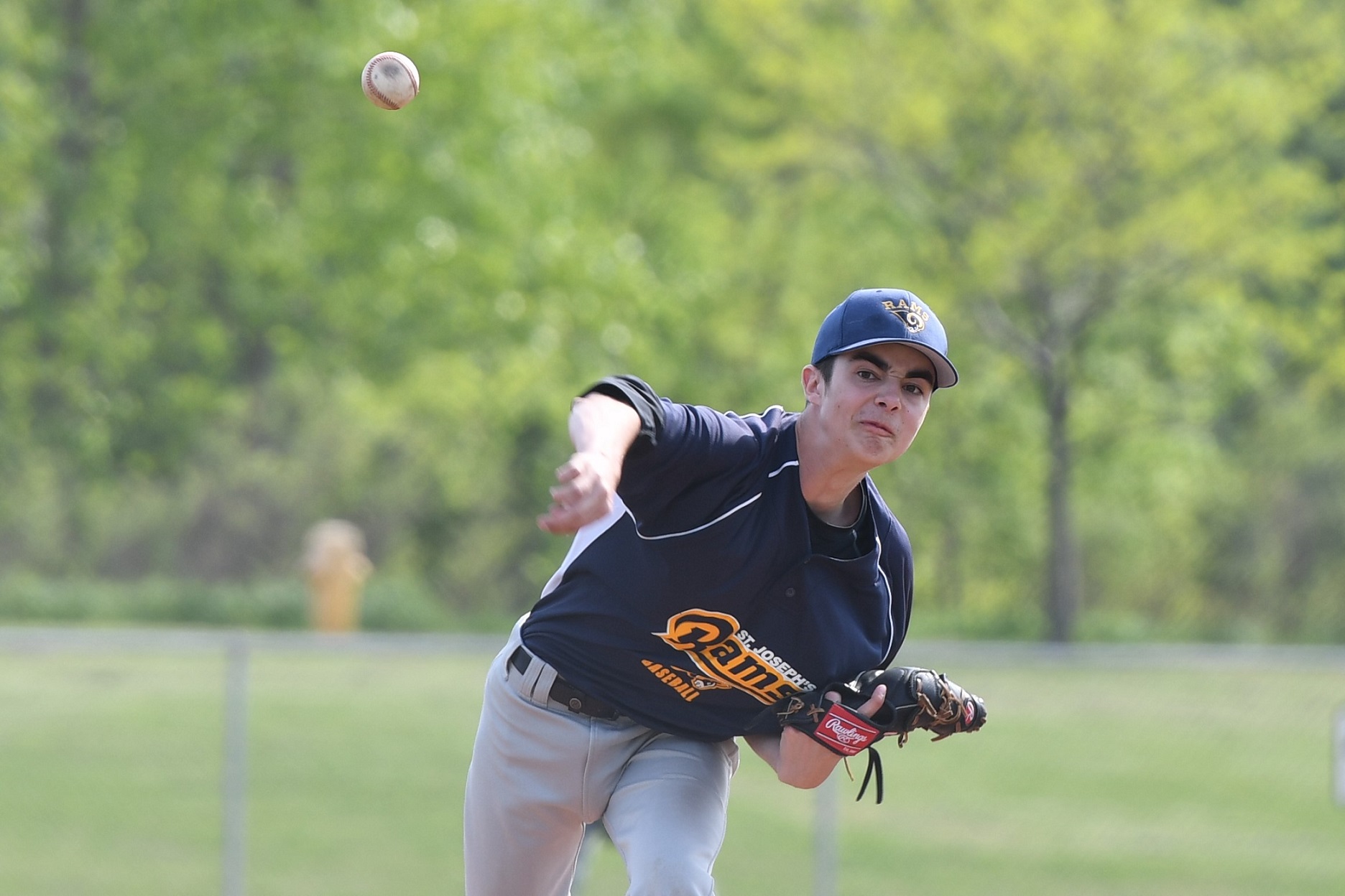 District baseball final