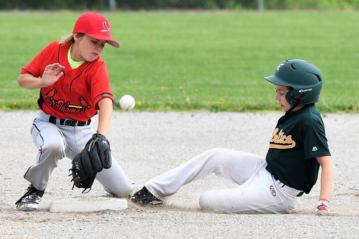 major mosquito final