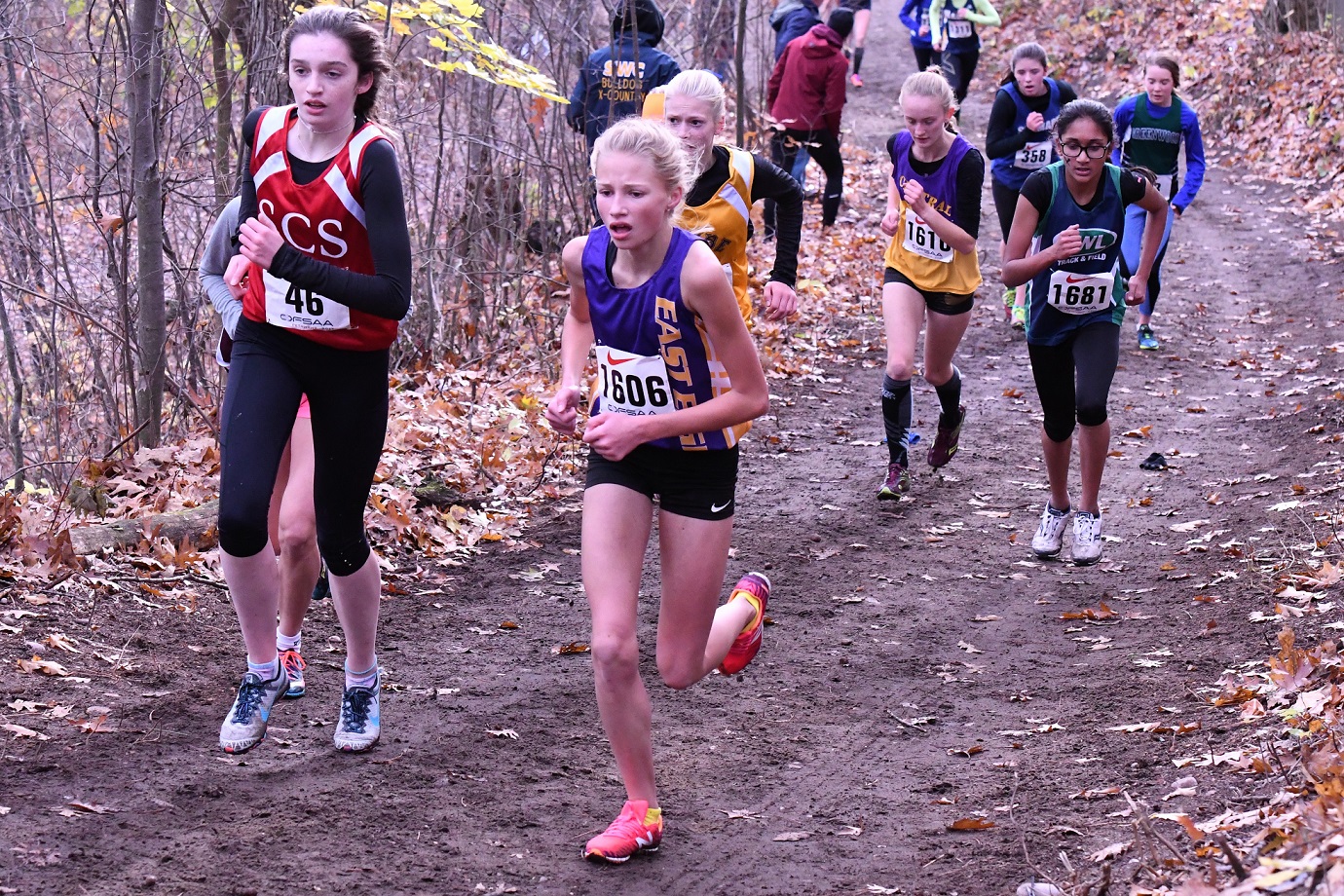 OFSAA XC