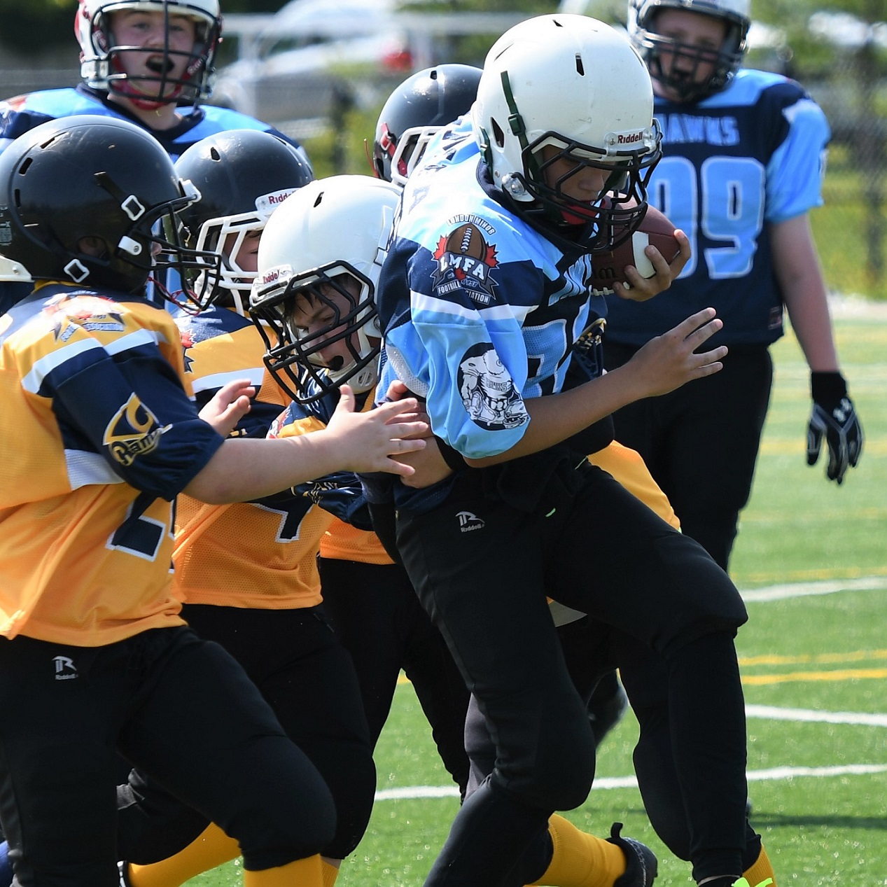 Hawks peewee football