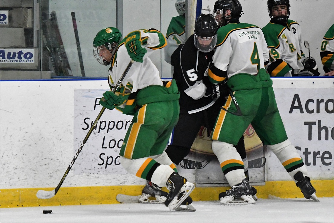 Dolphins vs Thamesford