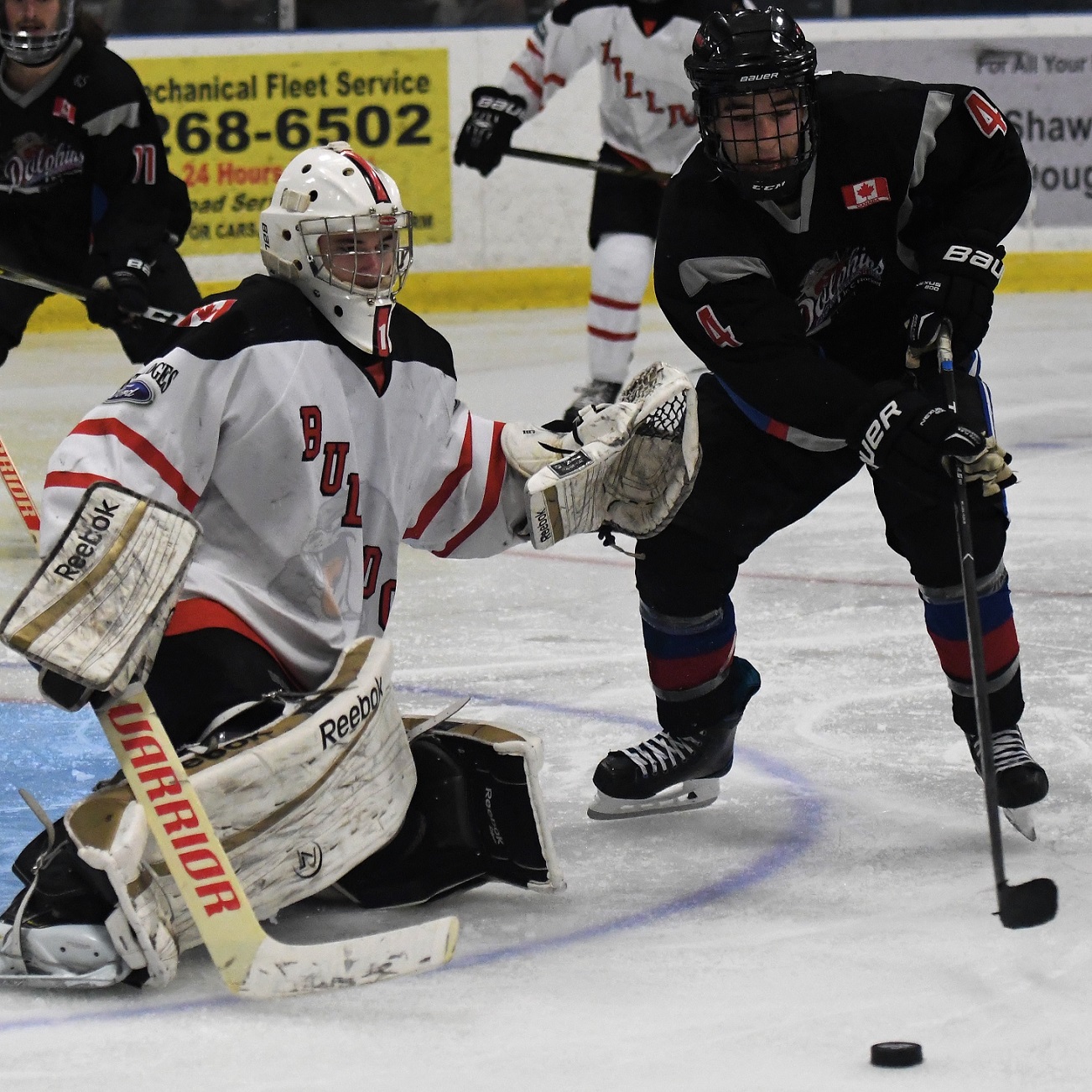 Root reaches for the puck