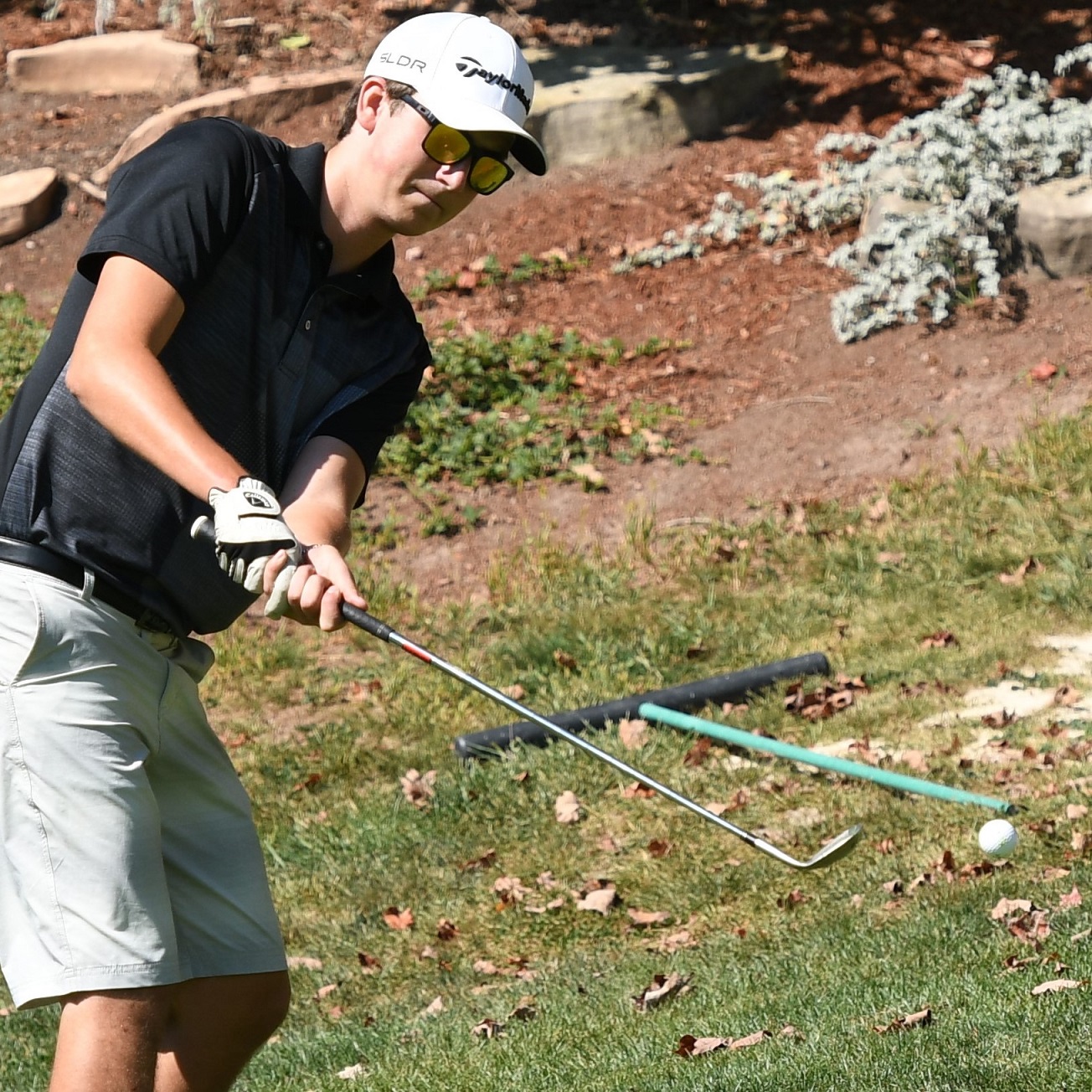 McFee from the brush