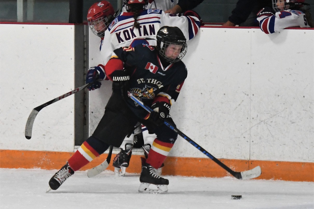 Big Cat Preseason showdown