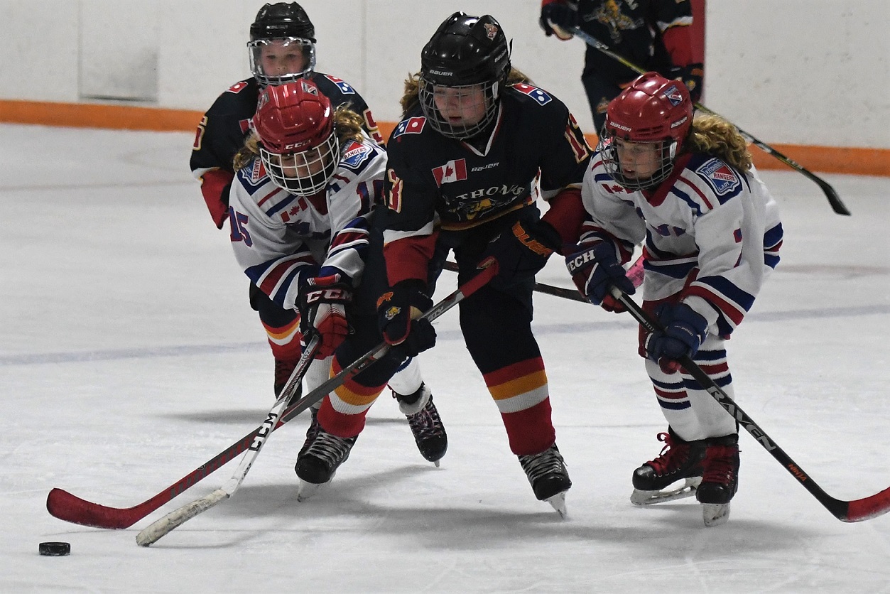 Big Cat Preseason showdown