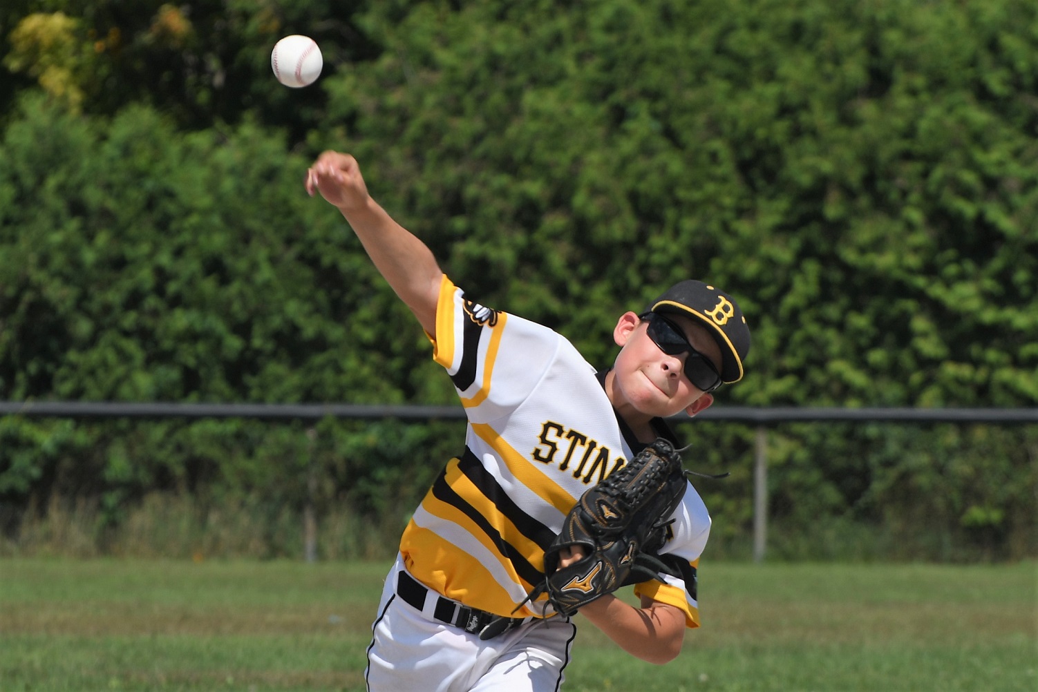 OBA major mosquito C final