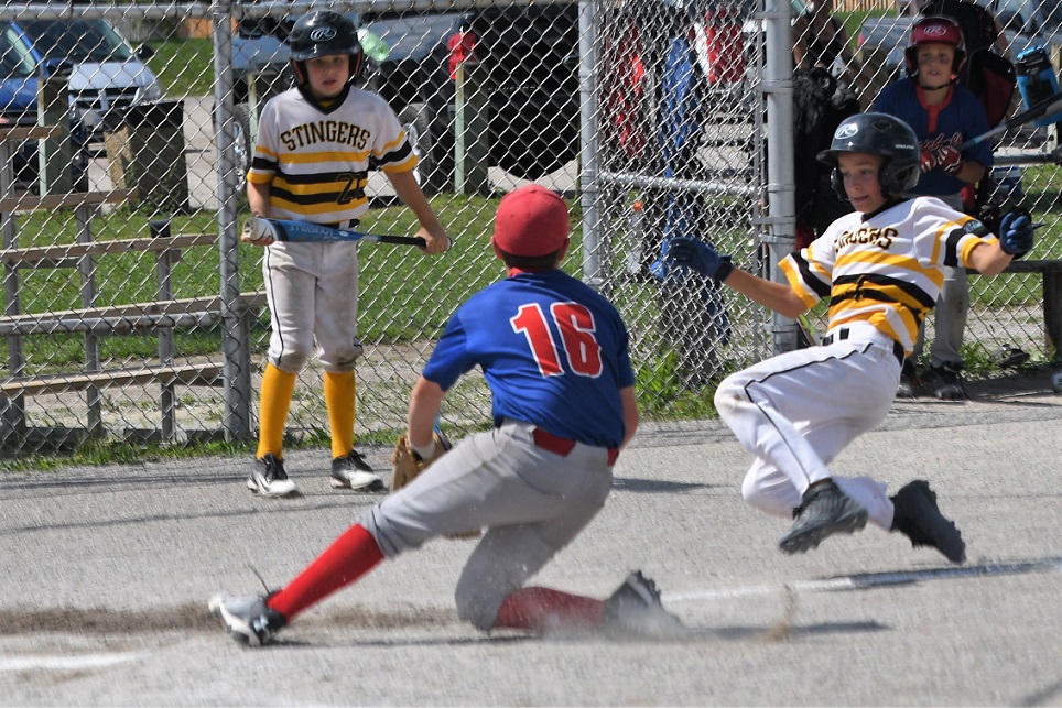 OBA major mosquito C final