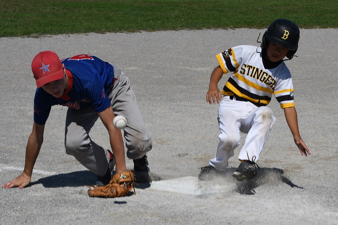 OBA major mosquito C final