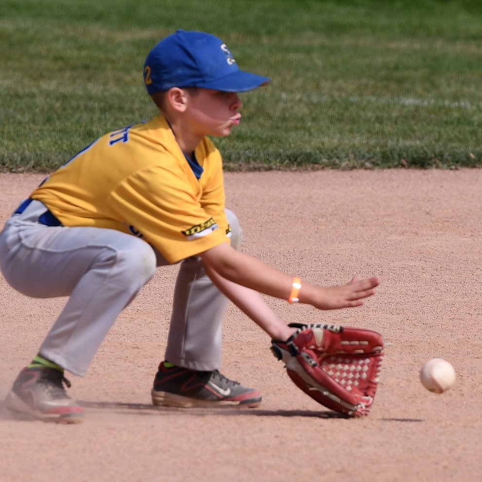 Pettit fields the ball