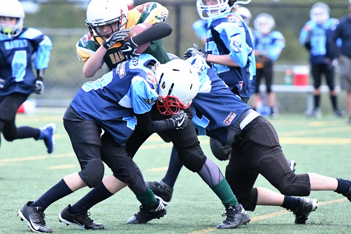 peewee Hawks season opener