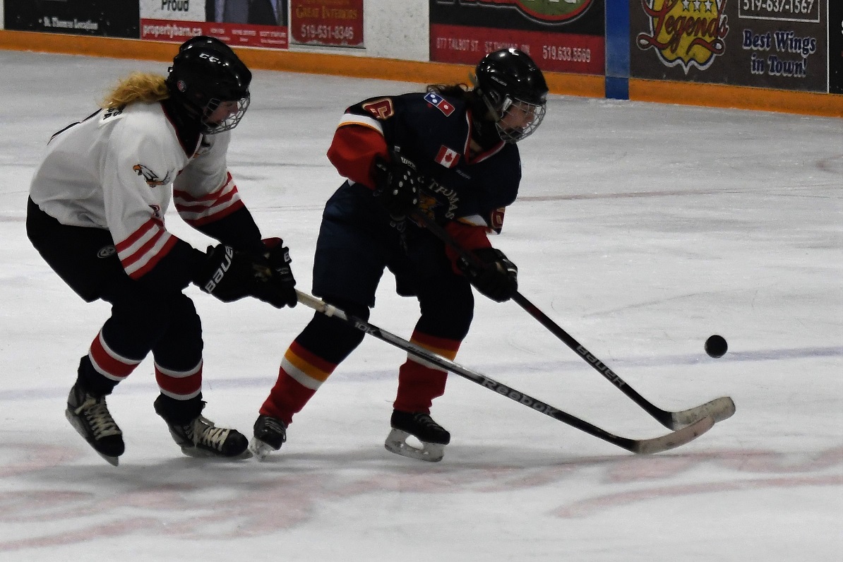 Panthers on the Prowl Midget