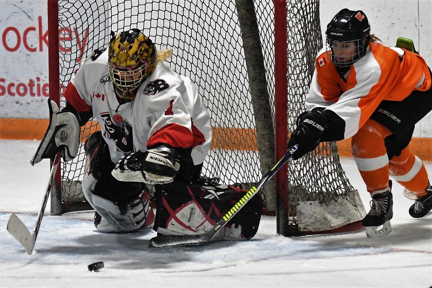 Panthers on the Prowl midget