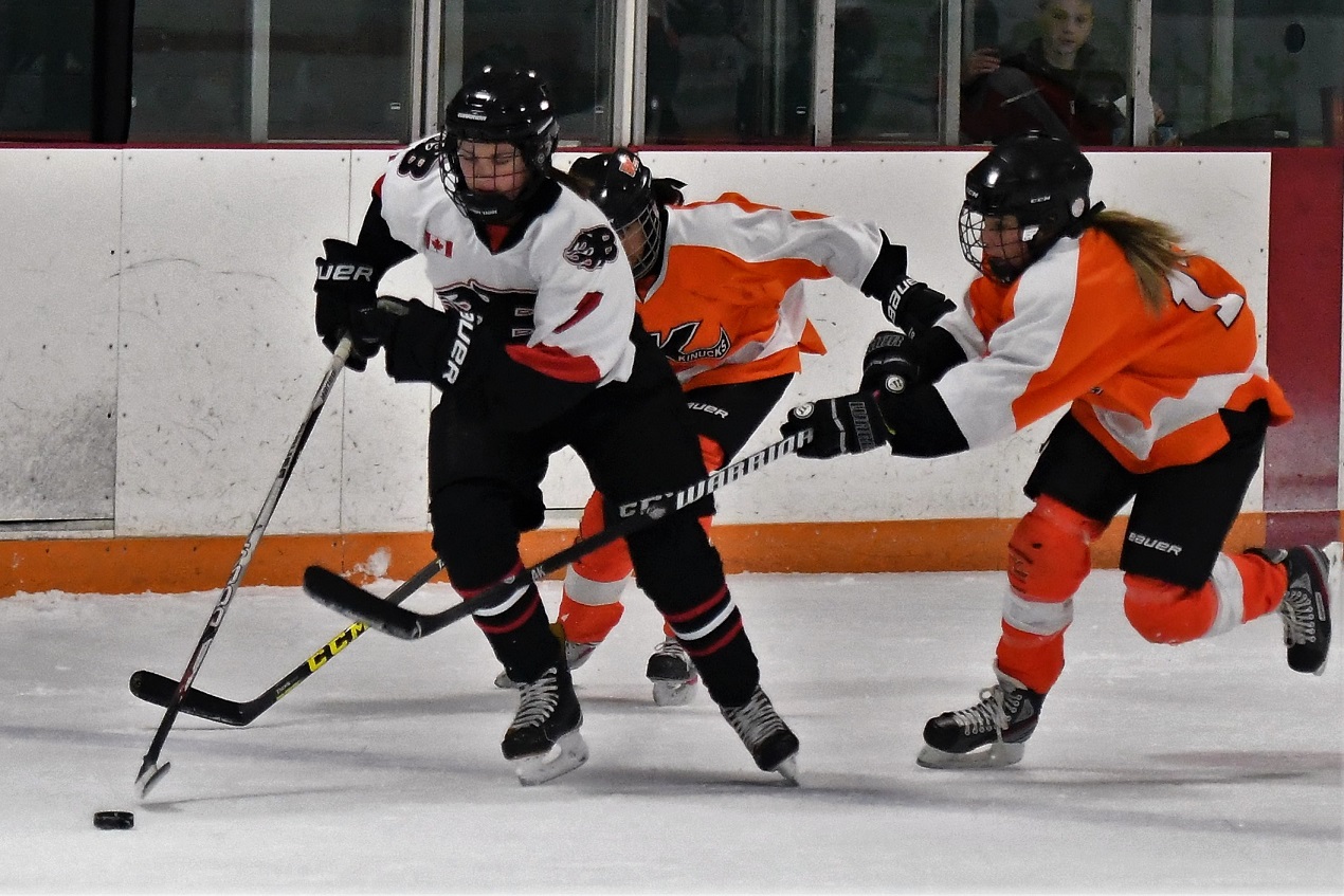 Panthers on the Prowl Novice