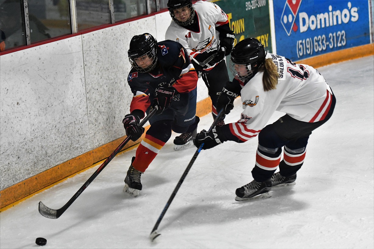 Panthers on the Prowl Novice