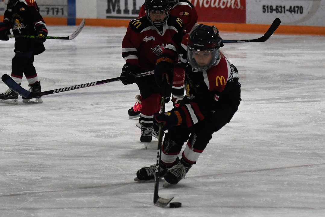 Panthers on the Prowl