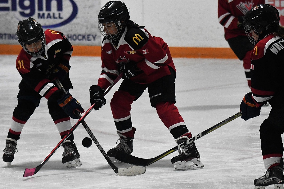 Panthers on the Prowl