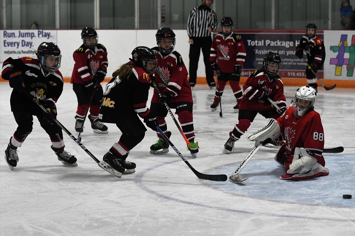 Panthers on the Prowl