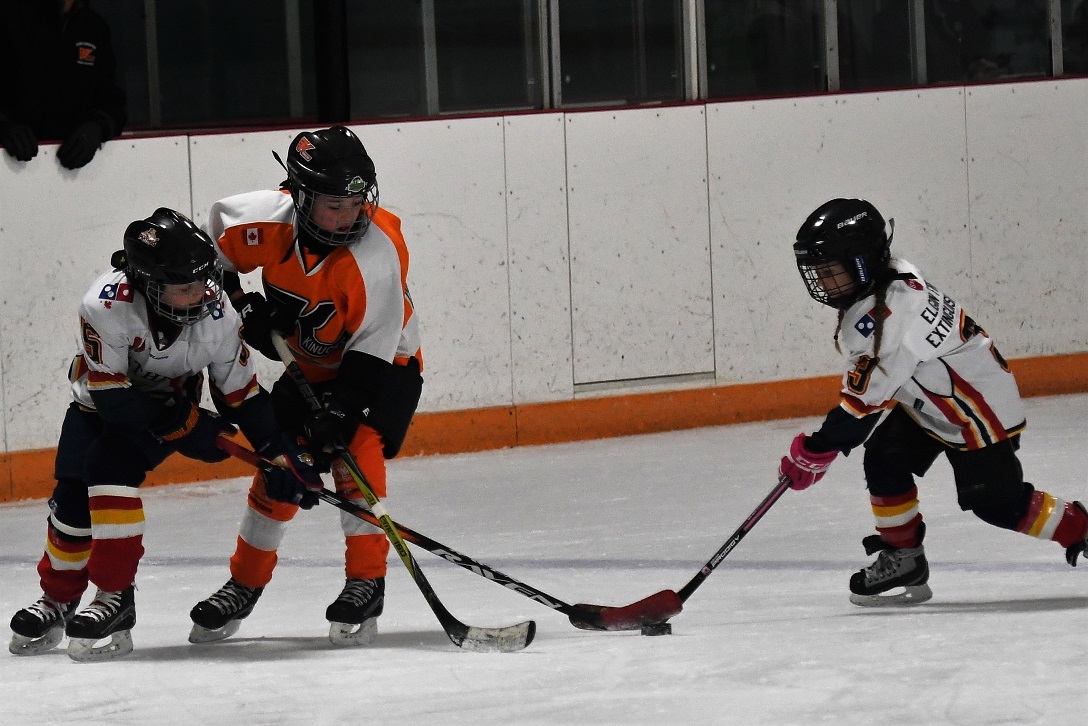 Panthers on the Prowl