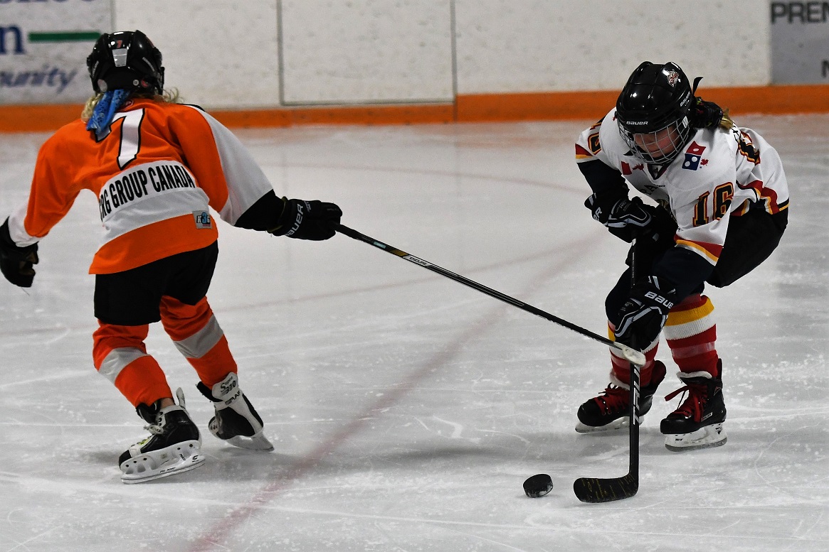 Panthers on the Prowl