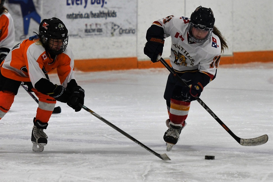 Panthers on the Prowl