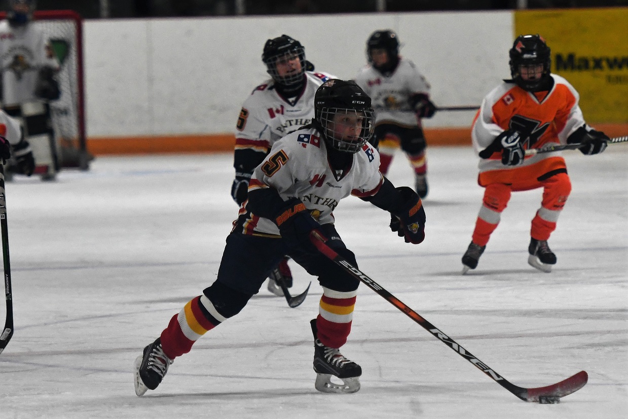 Panthers on the Prowl