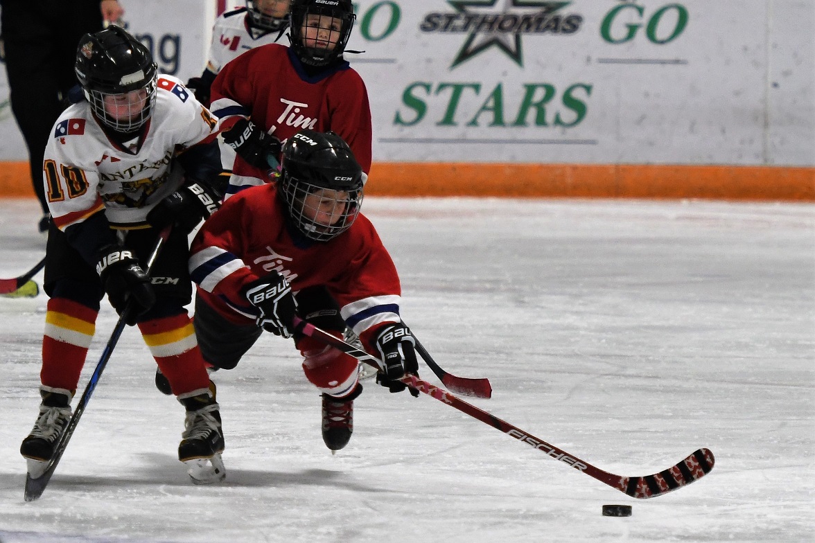 Panthers on the Prowl Novice