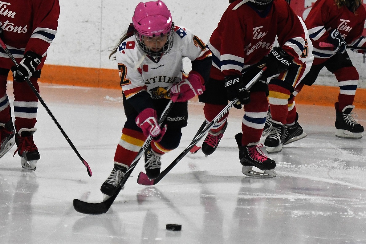 Panthers on the Prowl Novice