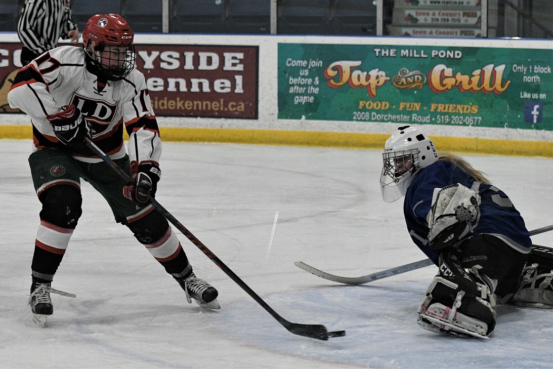 TVRA S-E hockey final