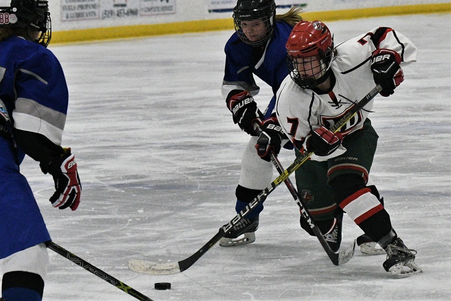 TVRA S-E hockey final