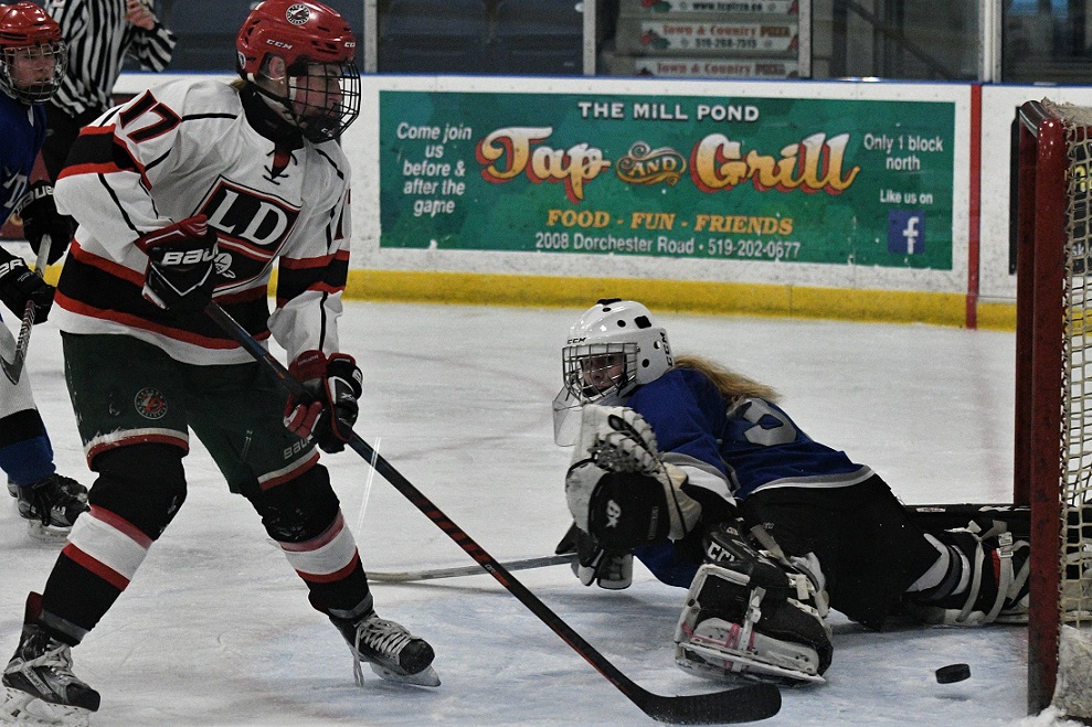 TVRA S-E hockey final