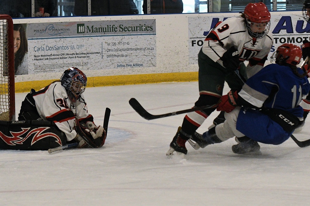 TVRA S-E hockey final