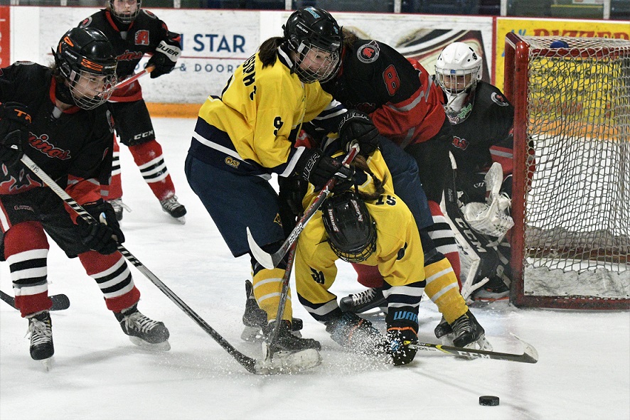 District hockey final