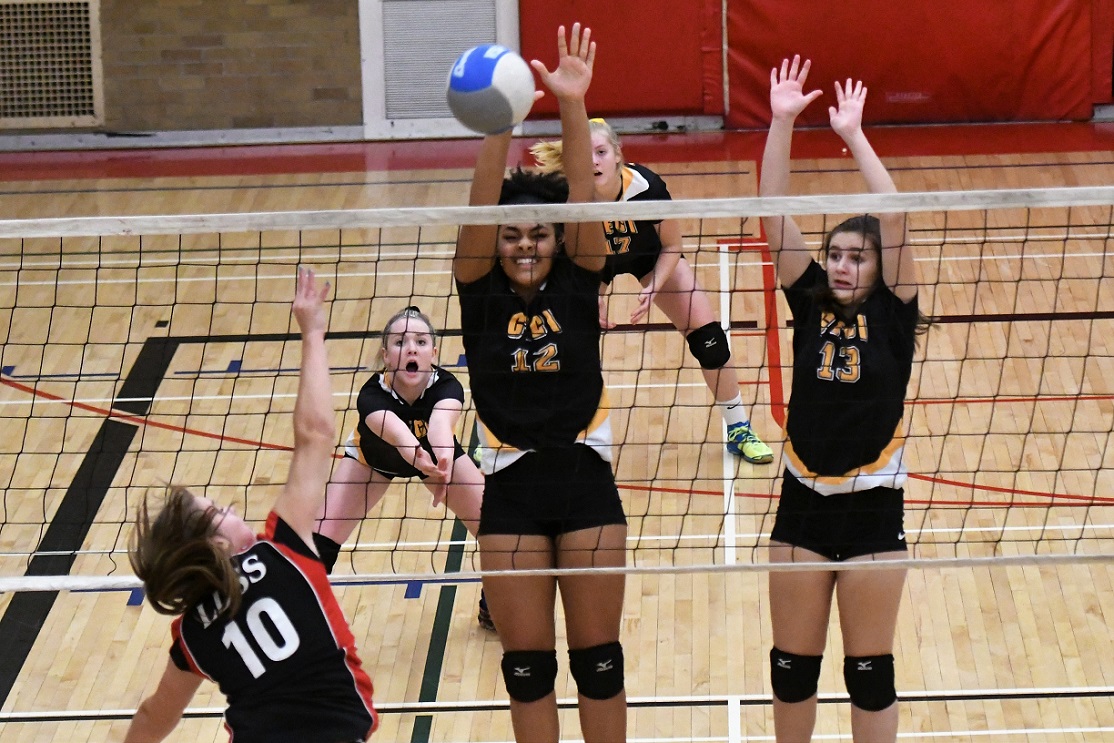 TVRA 1A junior girls VB