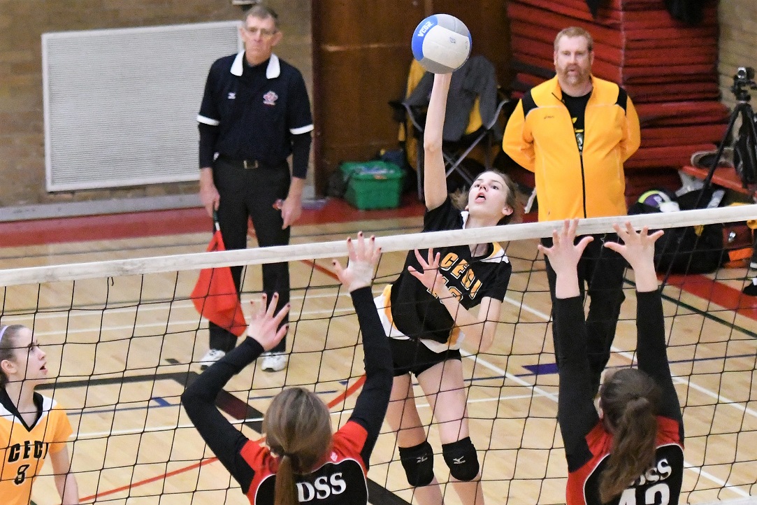 TVRA 1A junior girls VB