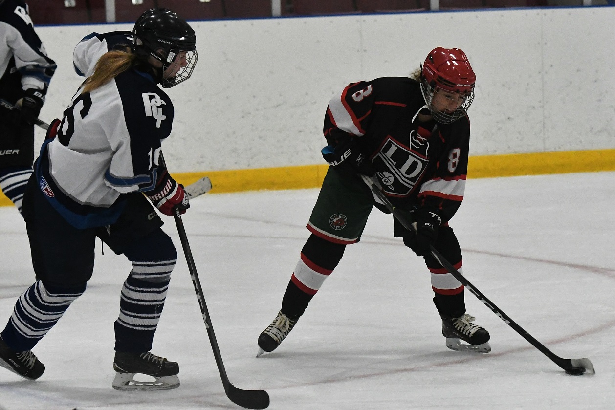 Beavers - Stampederss