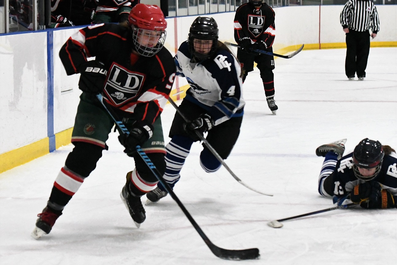 Beavers - Stampeders