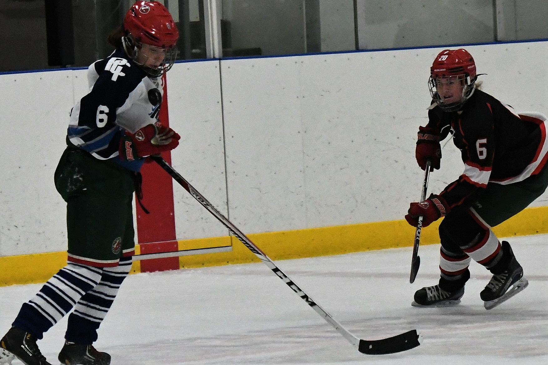 Beavers - Stampederss