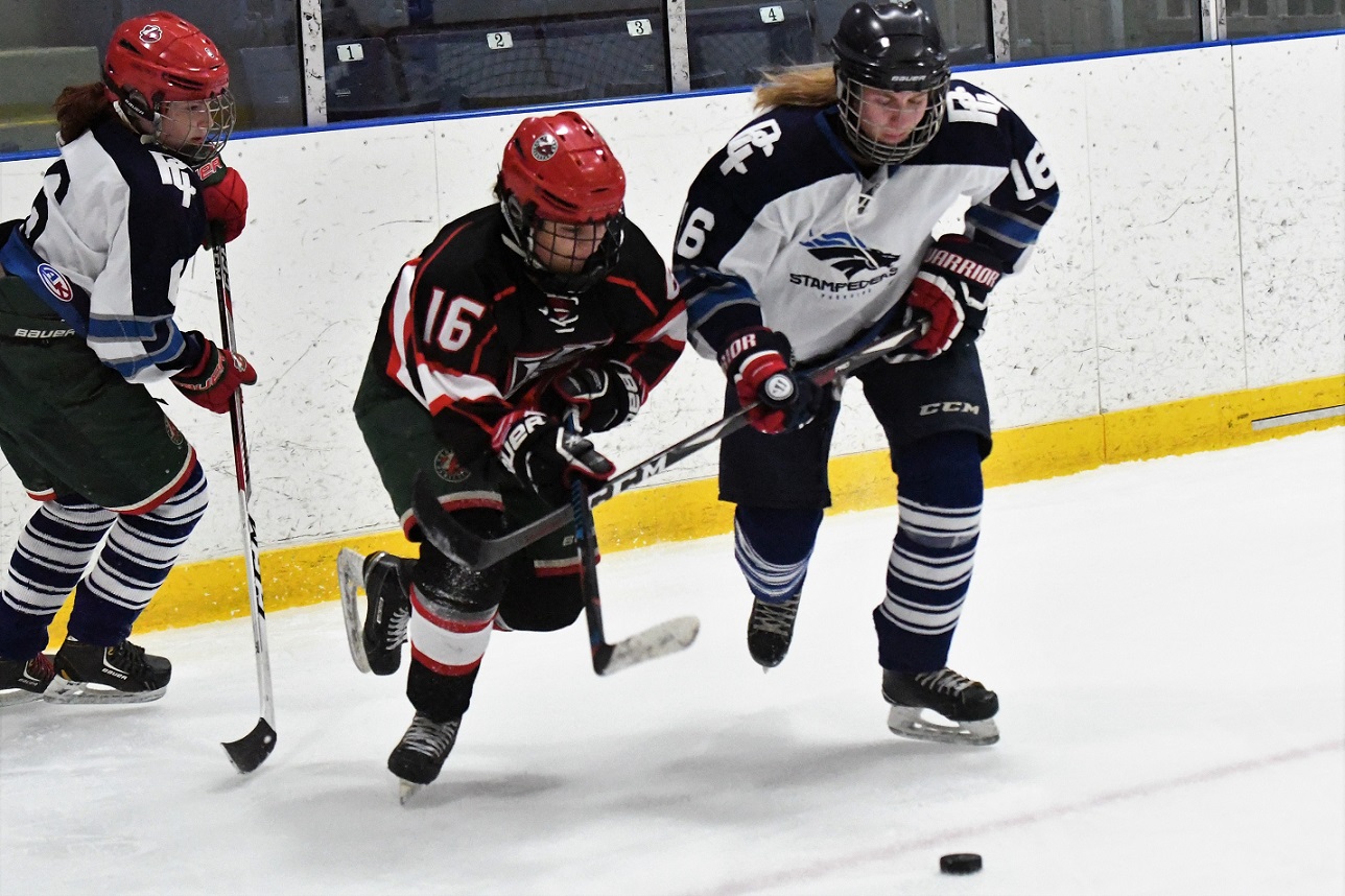 Beavers - Stampeders