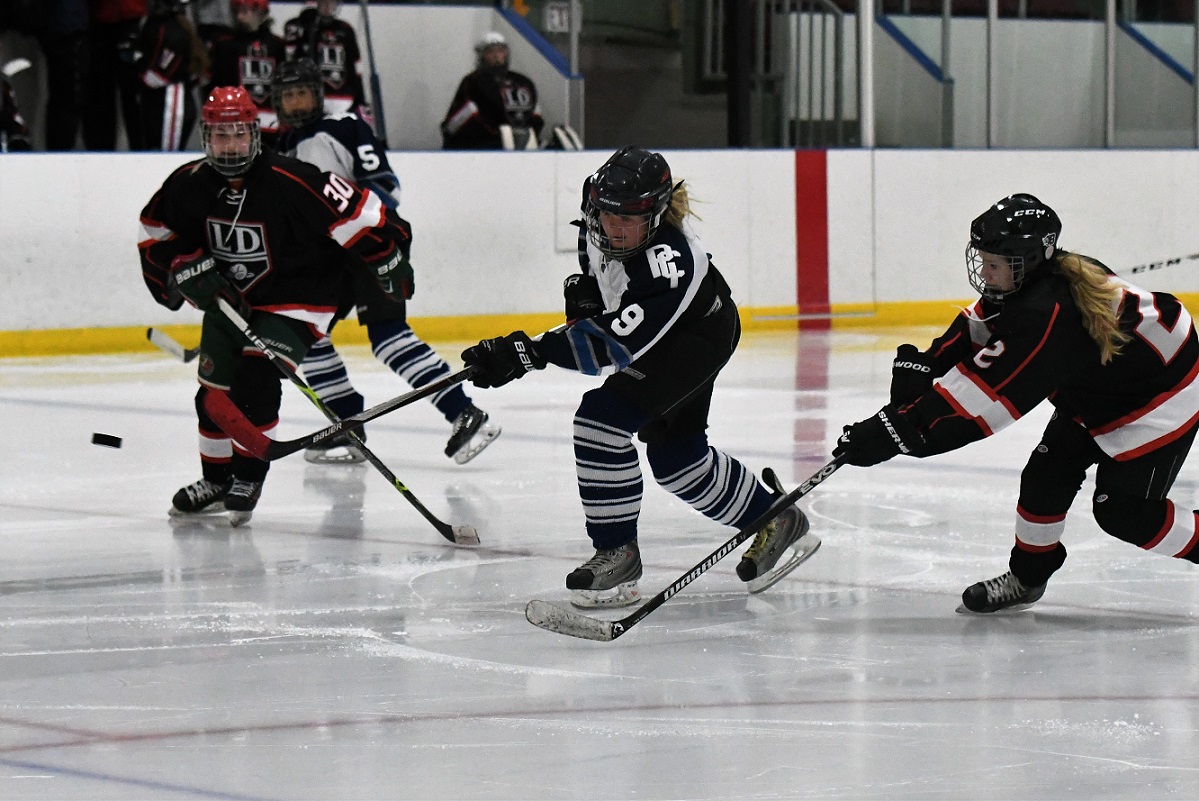 Beavers - Stampederss