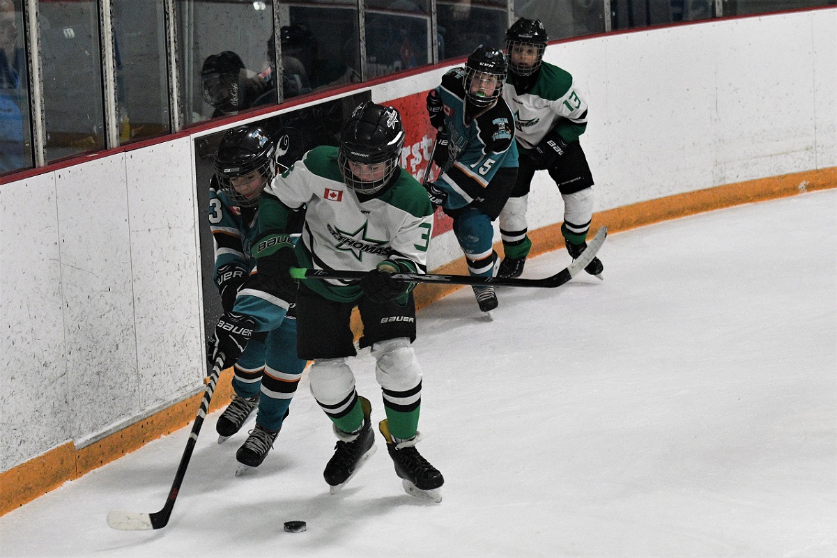 OMHA minor peewee final game two