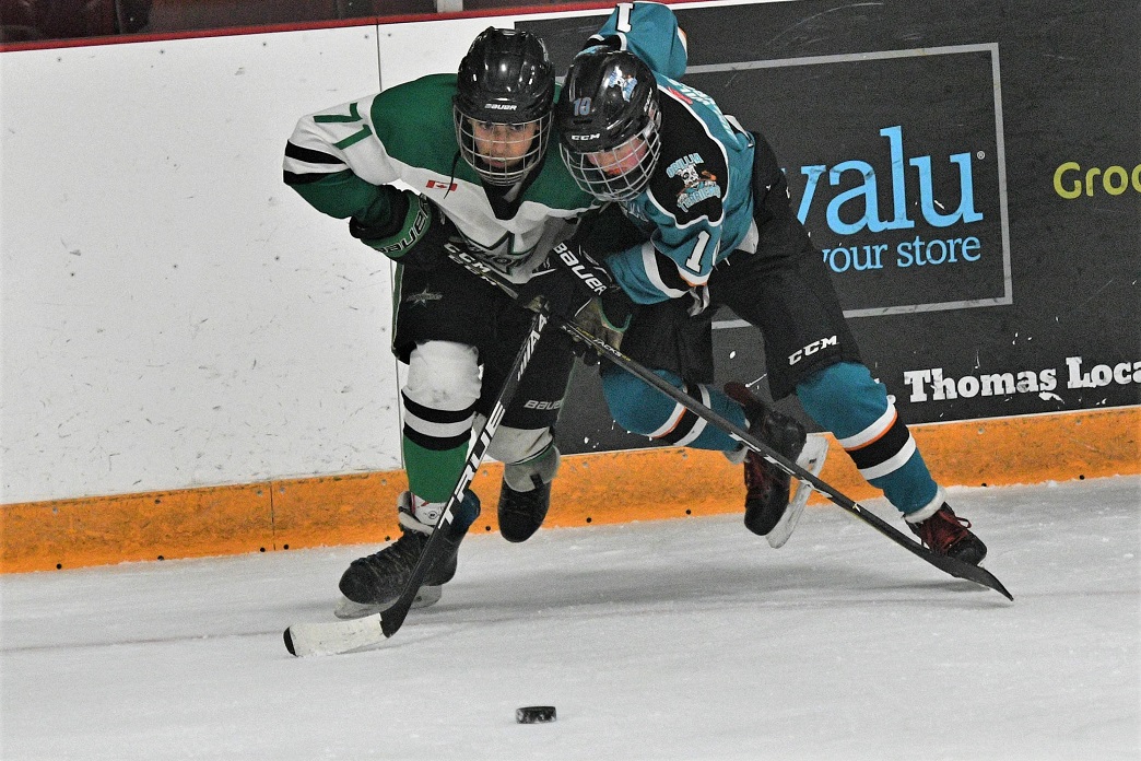 OMHA minor peewee final game two
