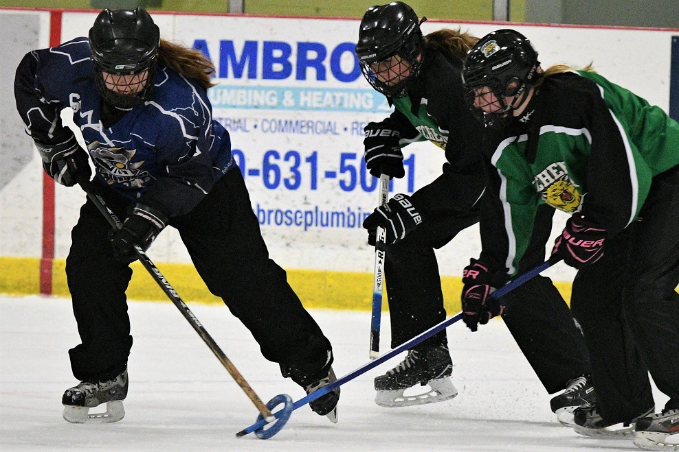 Western regional ringette