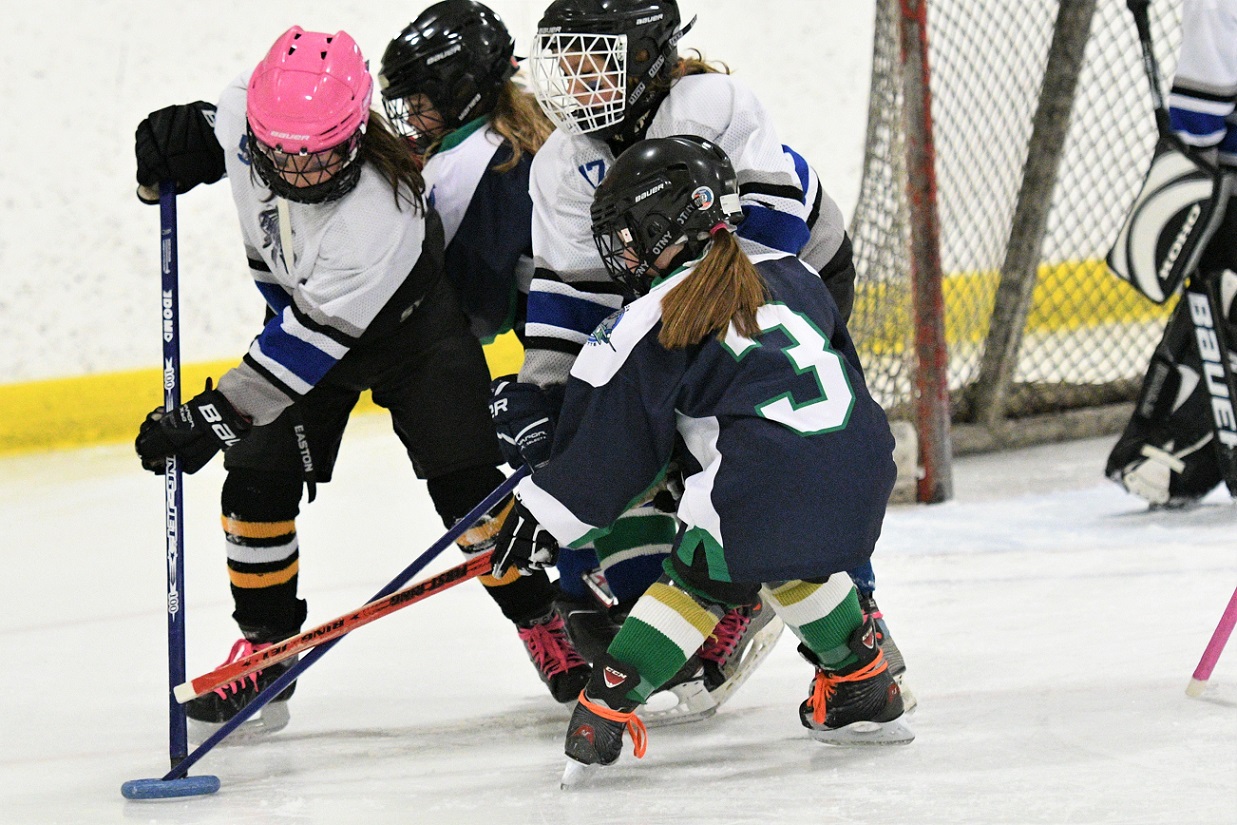 Western regional ringette