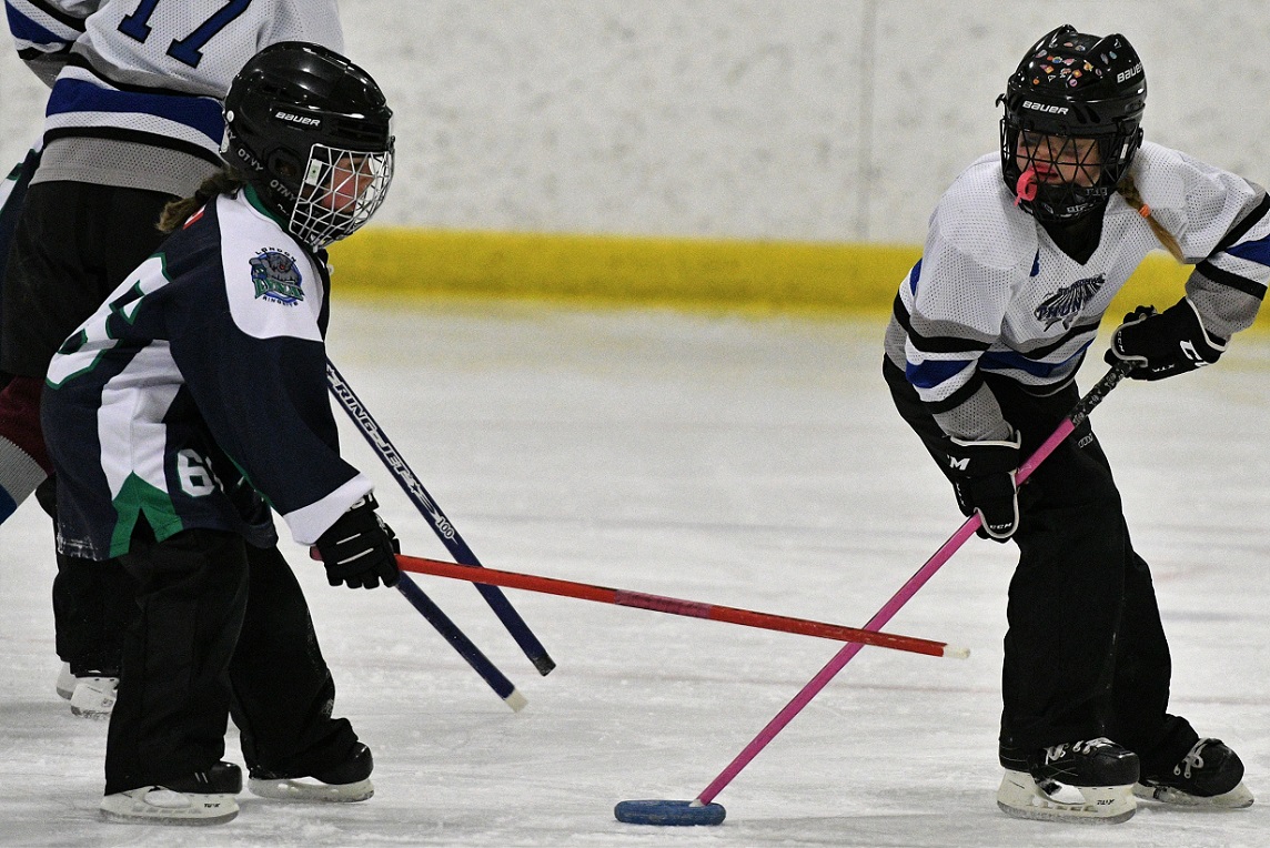 Western regional ringette