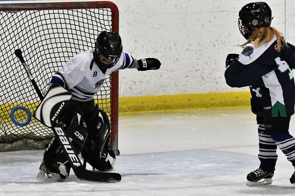 Western regional ringette